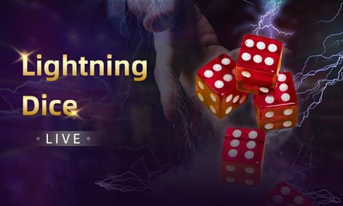 696slot Myanmar Bingo ဆုငွေ ကစားသမား – Online Bingo ဆုရမှု